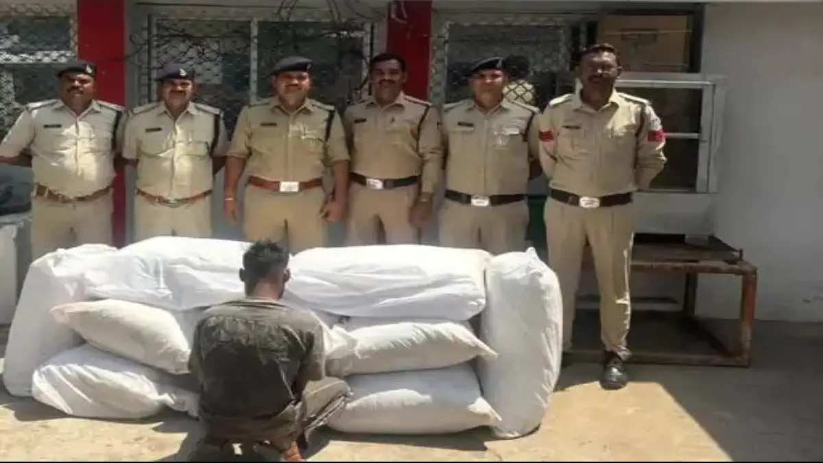 अनूपपुर: नशे के खिलाफ बड़ी कार्रवाई, पुलिस ने जब्त किया 1.12 करोड़ का गांजा, एक को दबोचा
